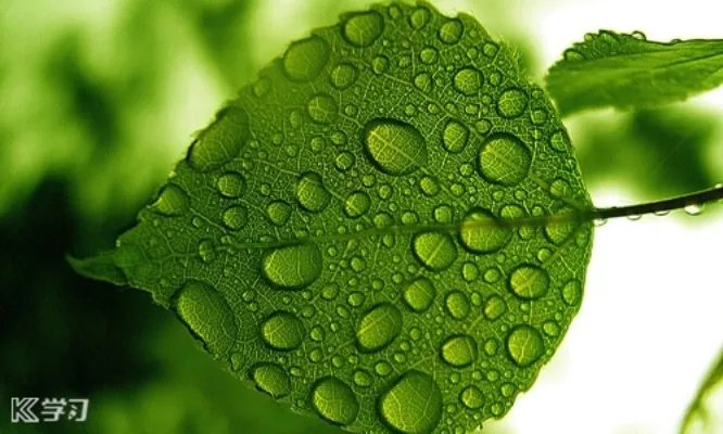 下雨天应景的心情说说朋友圈精选80句