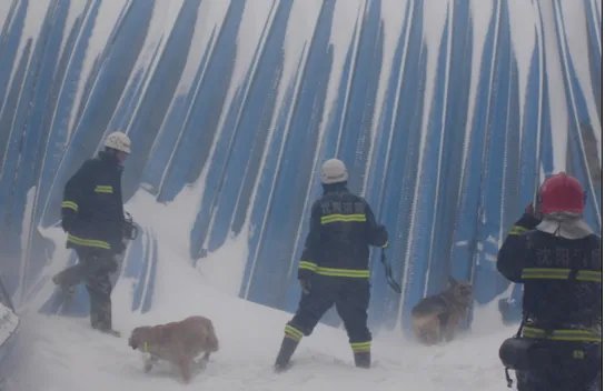 辽宁大雪是哪年
