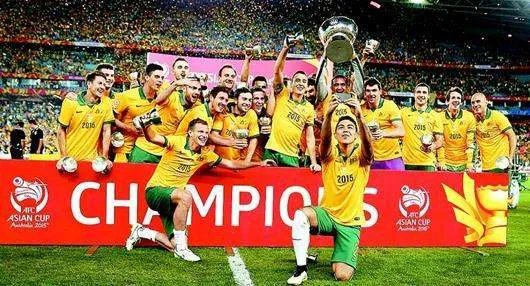 2015亚洲杯总决赛谁是冠军
