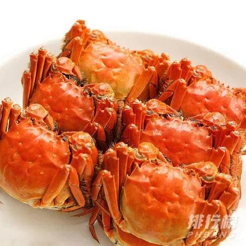阳澄湖大闸蟹介绍词_关于阳澄湖大闸蟹的介绍