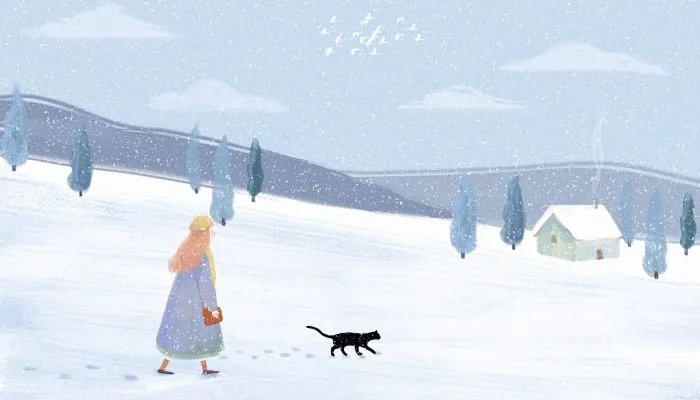 发朋友圈下雪高端句子 下雪的有意境的短句子