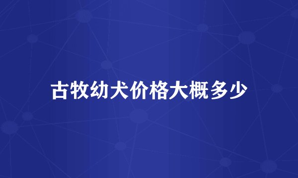 古牧幼犬价格大概多少