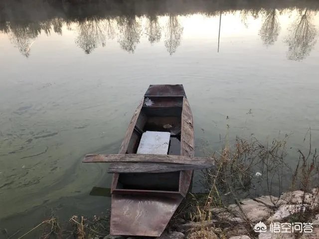 央视网评娱乐歪风