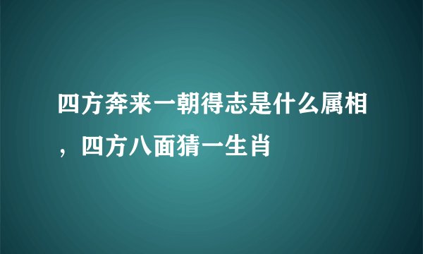 四方奔来一朝得志是什么属相，四方八面猜一生肖