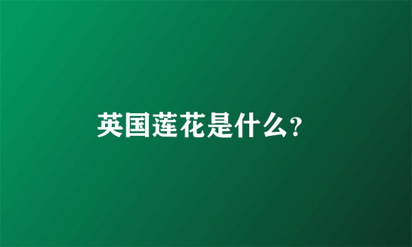 英国莲花是什么？