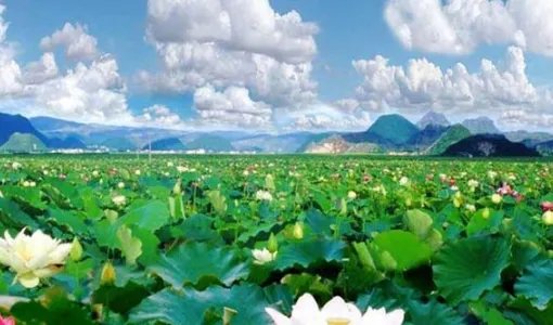 云南八大著名旅游景点