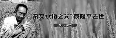 直播袁隆平院士遗体送别仪式：仓满无饥恐！后辈不敢忘