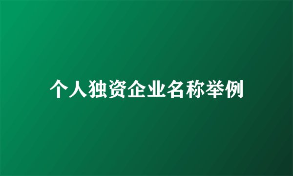 个人独资企业名称举例