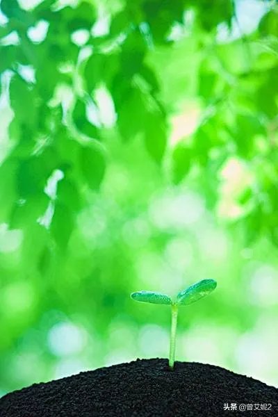 浅绿色的有铁的溶液是什么？