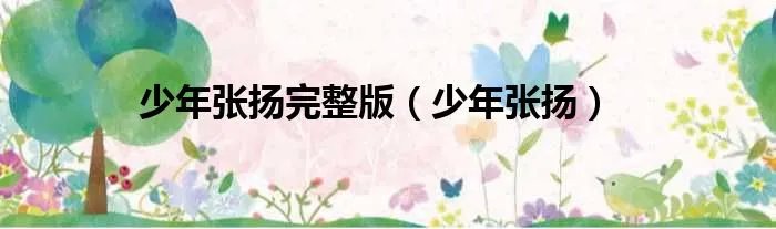 少年张扬完整版（少年张扬）