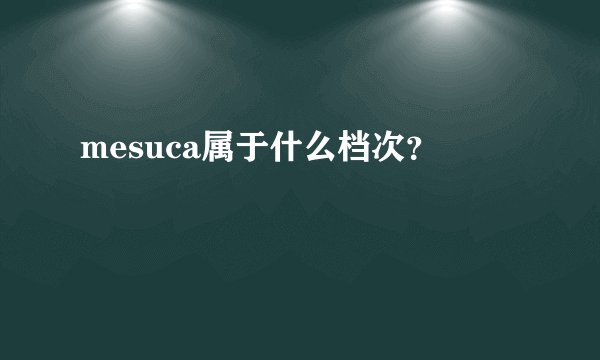 mesuca属于什么档次？