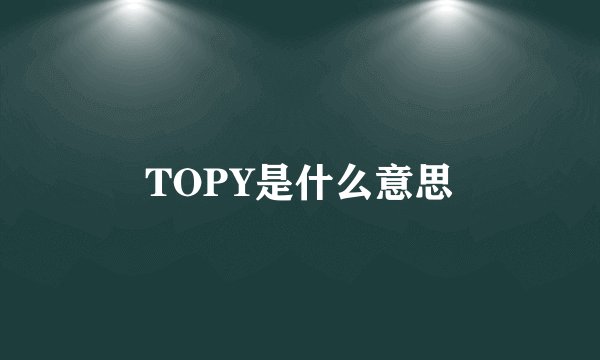 TOPY是什么意思