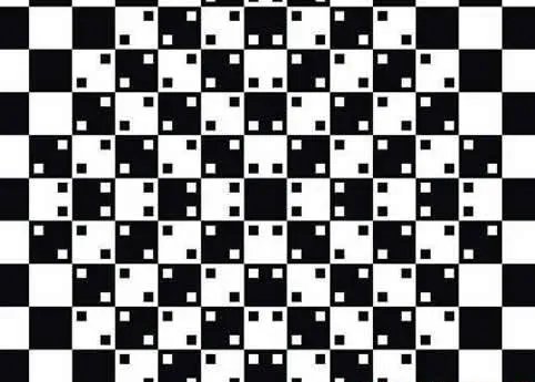 黑林错觉：黑林错觉图片,视觉方面的错觉【视频】