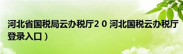 河北省国税局云办税厅2 0 河北国税云办税厅登录入口）