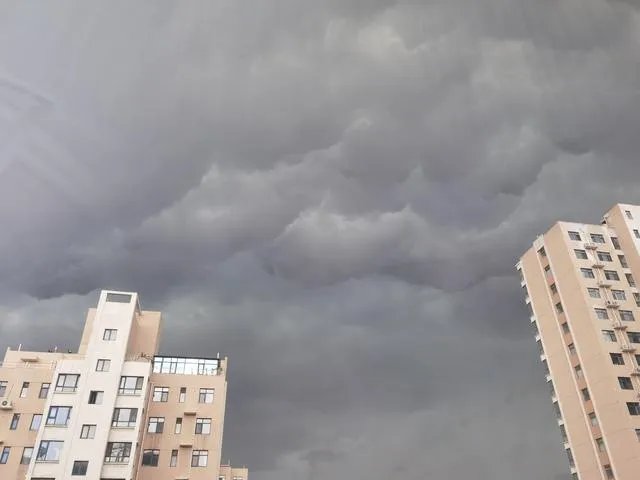 鱼的种类及图片？