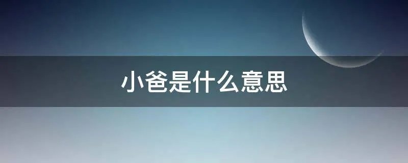 小爸是什么意思