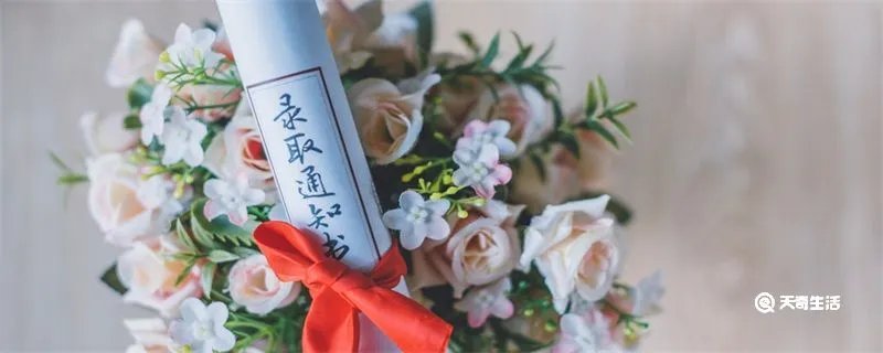 征集志愿是什么意思