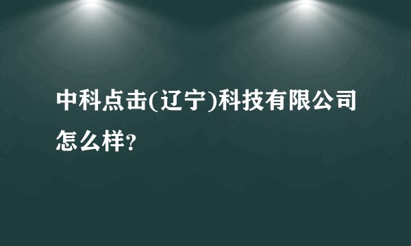 中科点击(辽宁)科技有限公司怎么样？