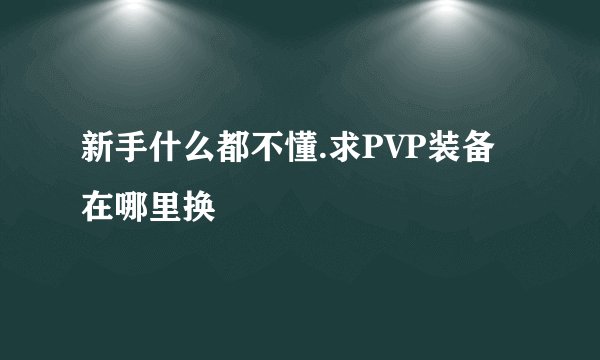 新手什么都不懂.求PVP装备在哪里换