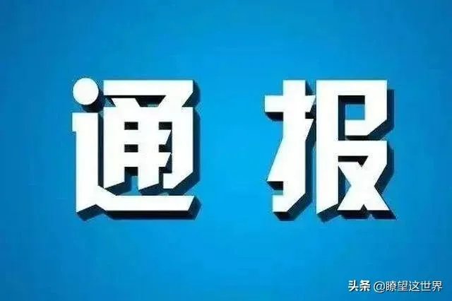 “苟晶事件”调查结果公布，15人被处理，她是否等来正义？