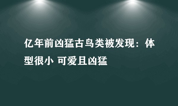 亿年前凶猛古鸟类被发现：体型很小 可爱且凶猛