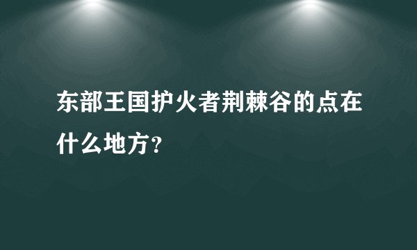 东部王国护火者荆棘谷的点在什么地方？