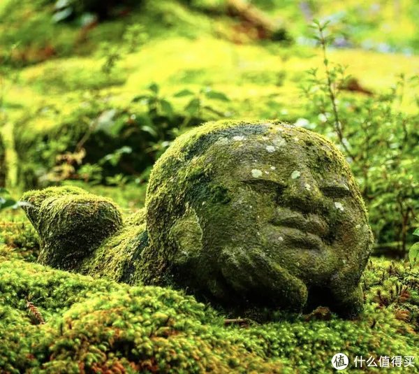 推荐京都旅行新视角，满足你对京都那些说不清的期待