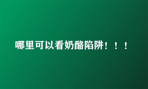 哪里可以看奶酪陷阱！！！