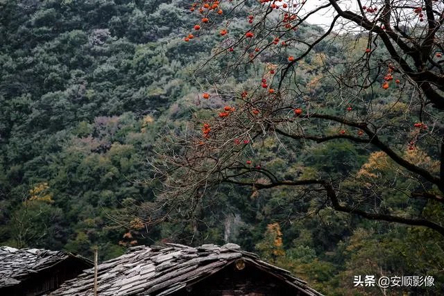 为什么糖水片往往在朋友圈有很高的点赞率，但却得不到摄影大咖们的认可？