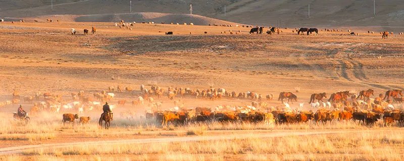 阿尔泰山在哪 阿尔泰山位置