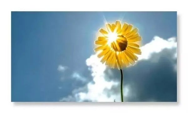 一句美好的祝福语