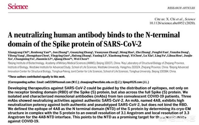 29% 新冠病毒样本出现D614G变异,世卫组织称「不是新的变异,已在欧美传播」,意味着什么?
