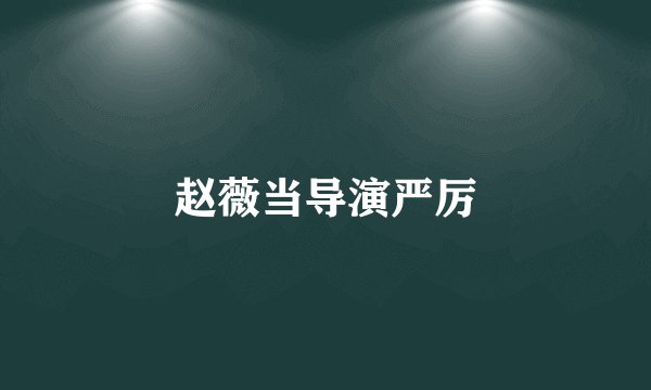赵薇当导演严厉