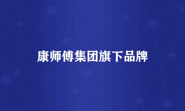 康师傅集团旗下品牌
