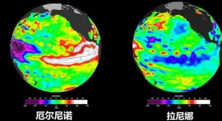 2020年一共吹过多少个台风？