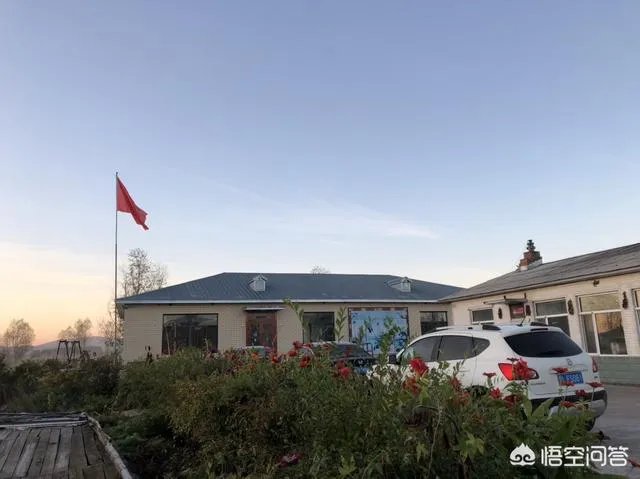 央视网评娱乐歪风