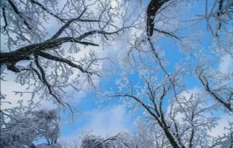 河南多景区飘起鹅毛大雪，现场究竟是何景象？