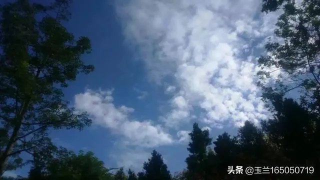 夏天去哪里旅游凉快？