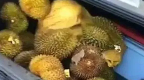 广西哄抢榴莲的村民食物中毒，这是谁的责任？