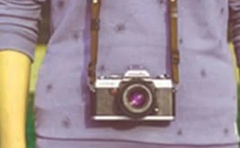 财务部岗位职责