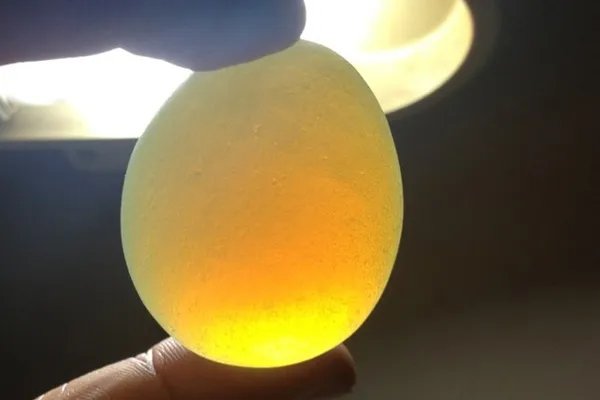 如何判断鸡蛋是否变质 鸡蛋变质的原因