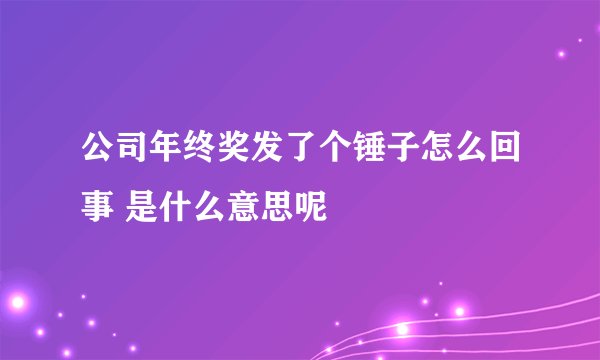 公司年终奖发了个锤子怎么回事 是什么意思呢