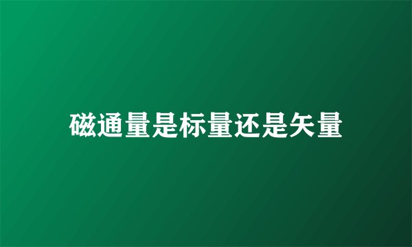 磁通量是标量还是矢量