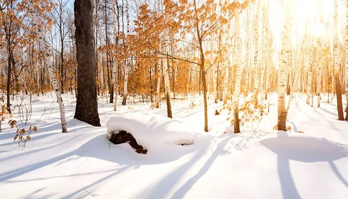 2008年大雪灾是什么原因 2008年大雪灾是什么时候