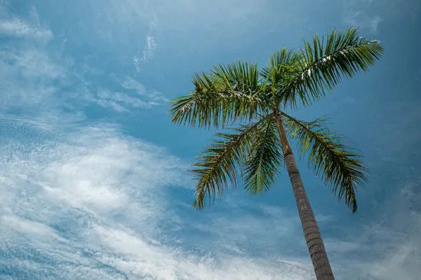 1月4日是什么星座 1月4日出生是什么星座