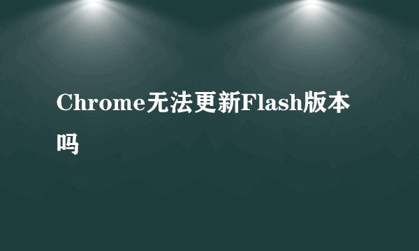 Chrome无法更新Flash版本吗