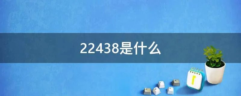 22438是什么