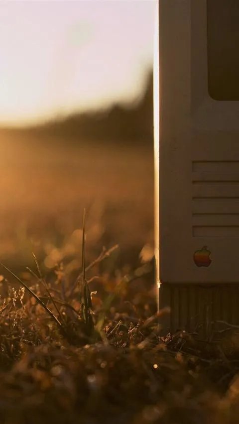 你有哪些意境壁纸?