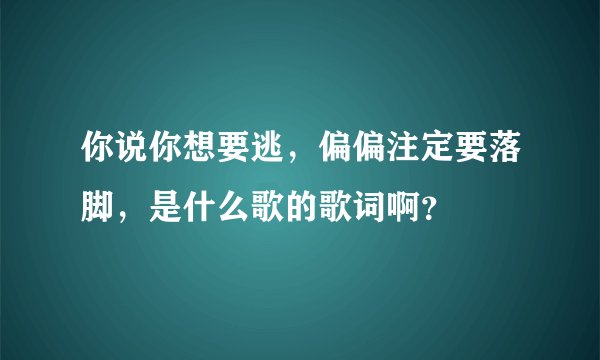 你说你想要逃，偏偏注定要落脚，是什么歌的歌词啊？
