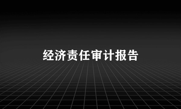 经济责任审计报告